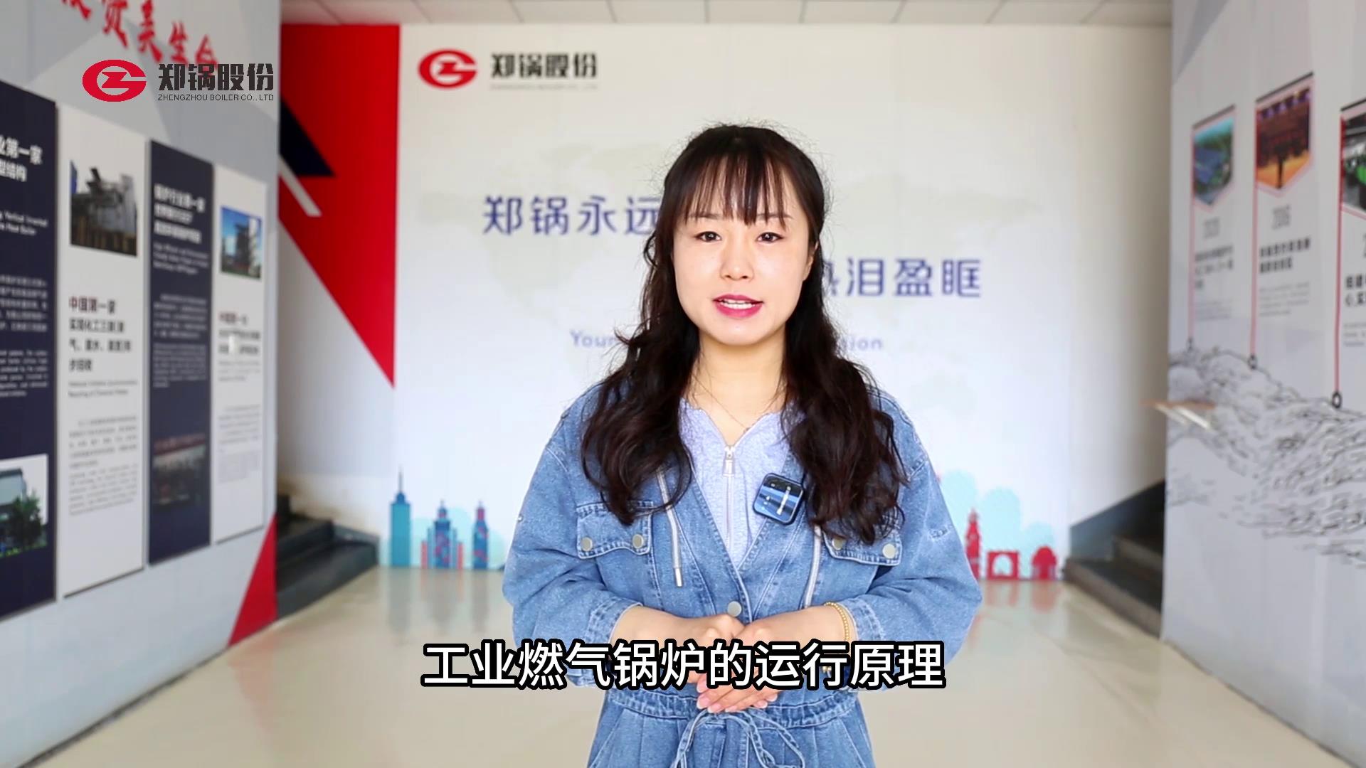 工(gong)業(yè)(ye)燃(ran)氣鍋鑪(lu)的運(yùn)行(xing)原(yuan)理(li)