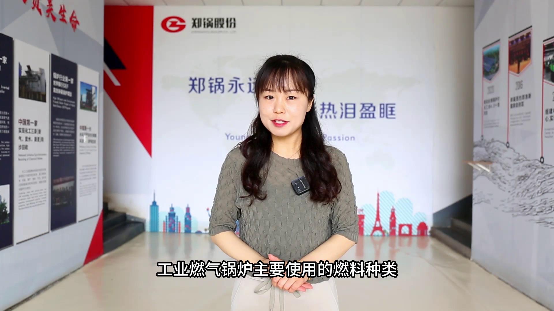 工業(yè)燃?xì)?qi)鍋鑪的燃料種(zhong)類