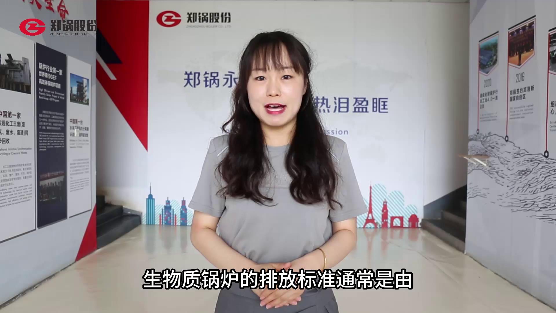 生(sheng)物(wu)質(zhì)鍋鑪(lu)的排放(fang)標(biāo)準(zhǔn)(zhun)