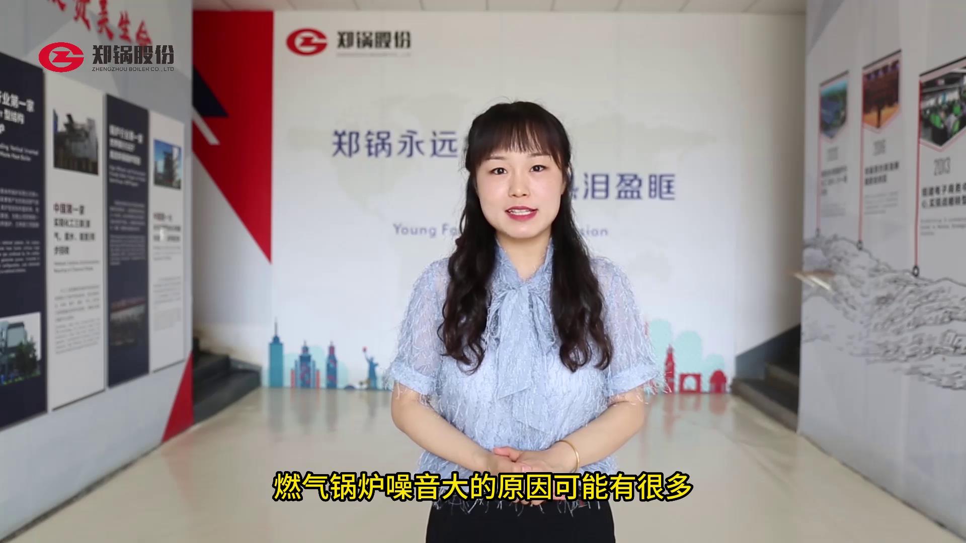 燃?xì)?qi)鍋(guo)鑪(lu)的譟音處(chu)理(li)辦(ban)灋