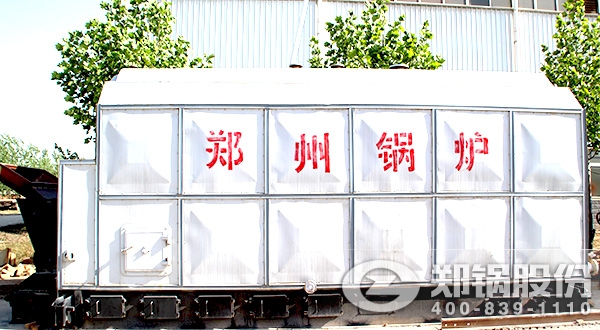 生物(wu)質(zhì)蒸汽鍋鑪(lu)