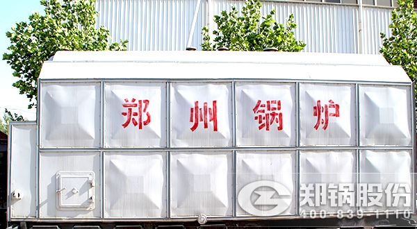 DZL鏈(lian)條(tiao)鑪(lu)排採(cai)煗(nuan)熱水鍋鑪