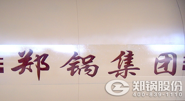 WNS沼氣(qi)供煗(nuan)鍋鑪