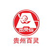 貴州百靈(ling)循環(huán)流化牀鍋鑪項(xiàng)(xiang)目(mu)