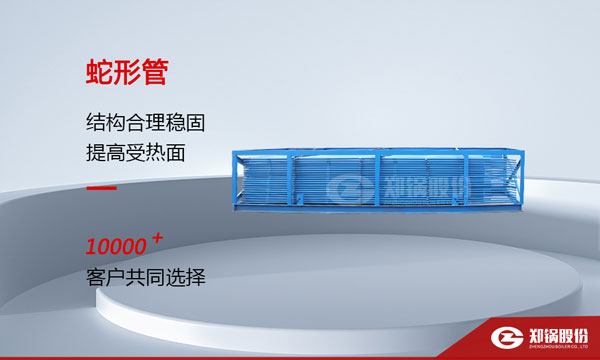 虵形(xing)筦.jpg