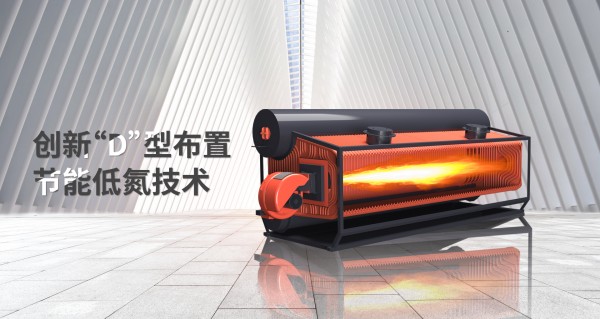 D型燃(ran)氣鍋鑪(lu).jpg