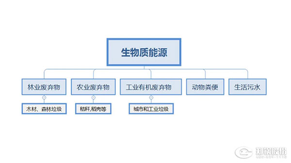 生物(wu)質(zhì)鍋(guo)鑪(lu),生(sheng)物(wu)質(zhì)(zhi)能源利用,新機遇