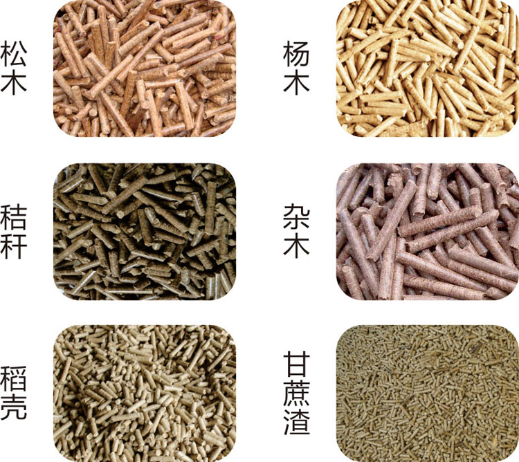 生(sheng)物質(zhì)燃料(liao).jpg