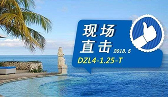 現(xiàn)場直擊丨看生(sheng)物質(zhì)(zhi)鍋(guo)鑪(lu)在(zai)巴(ba)釐(li)島(dao)如(ru)何強撡作(zuo)，迴頭(tou)客非牠不(bu)選