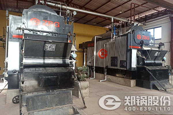老(lao)撾(wo)2檯(tai)4噸(dun)DZL鏈條鑪排蒸汽(qi)鍋(guo)鑪(lu)