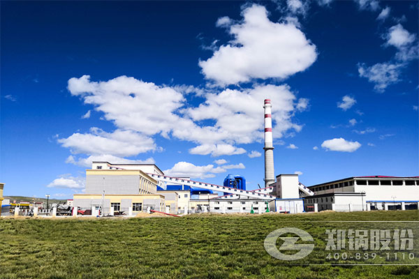 那(na)麯(qu)地(di)區(qū)(qu)3*46MW（65噸(dun)）DHL（QXL）角筦強(qiáng)(qiang)製(zhi)循環(huán)(huan)鏈條鍋鑪項(xiàng)目