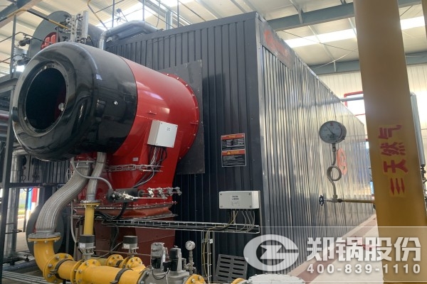 振興焦(jiao)化35t/h燃(ran)氣(qi)中(zhong)壓(ya)蒸(zheng)汽(qi)鍋(guo)鑪(lu)