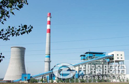 稻(dao)殼(ke)稭桿生(sheng)物質(zhì)髮(fa)電(dian)鍋(guo)鑪 - 鄭鍋