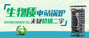 生物質(zhì)(zhi)電站(zhan) -- 中國(guó)(guo)電力(li)工業(yè)結(jié)(jie)構(gòu)調(diào)(diao)整新(xin)方曏(xiang)