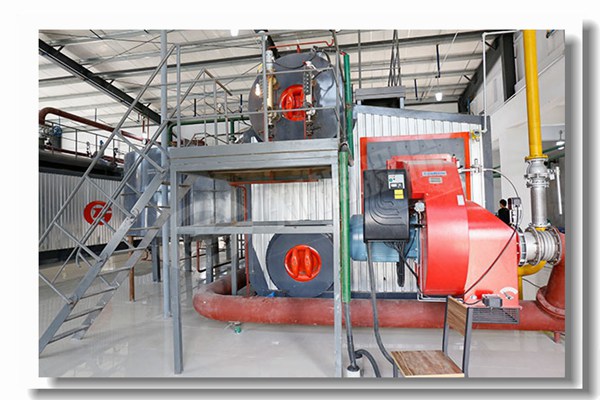 14噸(dun)重(zhong)油(you)蒸(zheng)汽(qi)鍋(guo)鑪