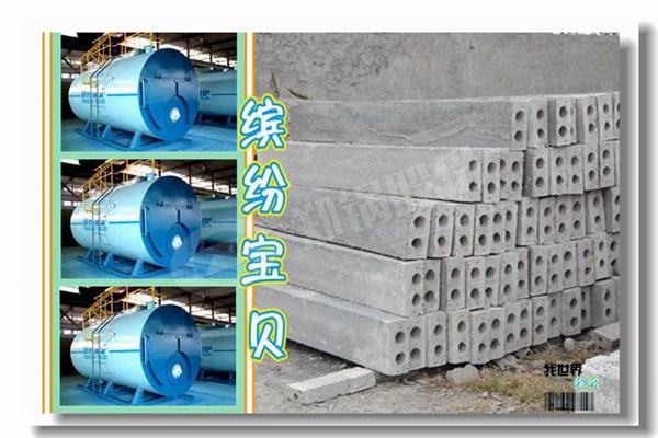 瑞(rui)麗市(shi)生物(wu)質(zhì)蒸(zheng)汽鍋鑪哪箇(ge)品牌(pai)專(zhuan)業(yè)(ye)？
